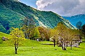 Valsesia, i prati dell'Argnaccia sopra Campertogno 